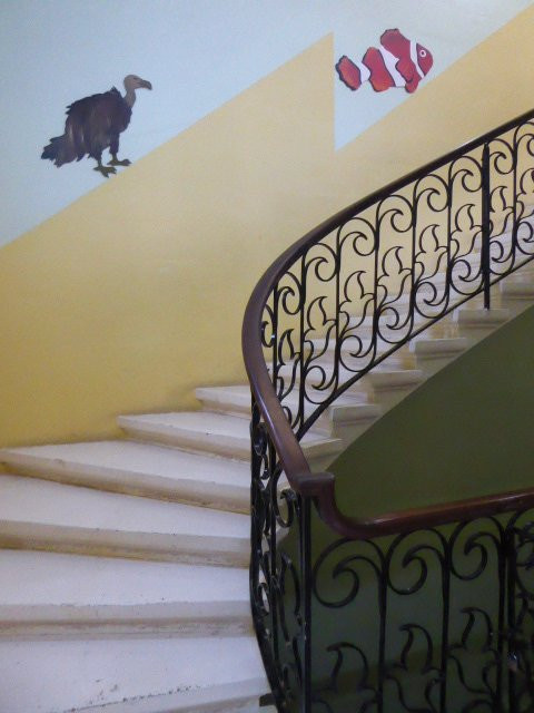 National Museum of Natural History-姆迪纳必去景点