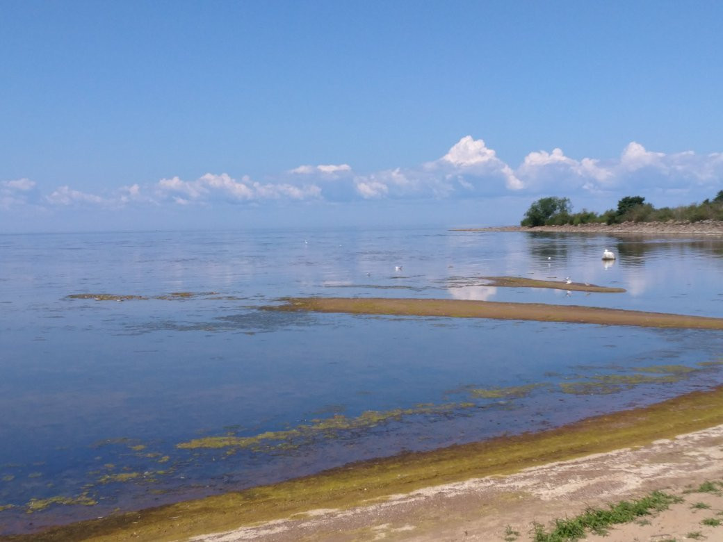 Chudskoye Lake景点图片