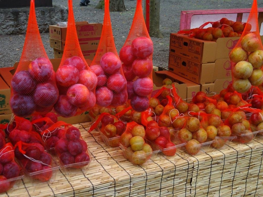 Okunitama Shrine Plum Matsuri-府中市必去景点