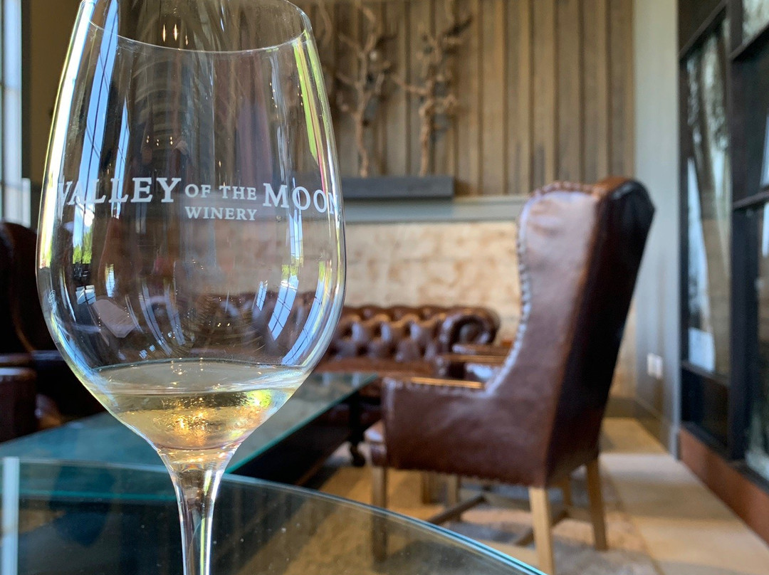 Valley of the Moon Winery景点图片
