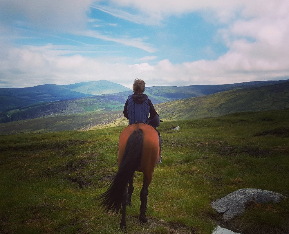 The Wicklow Way-Wicklow必去景点