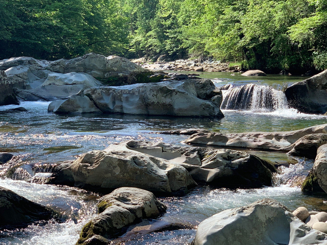 Porters Creek Trail-大雾山国家公园必去景点