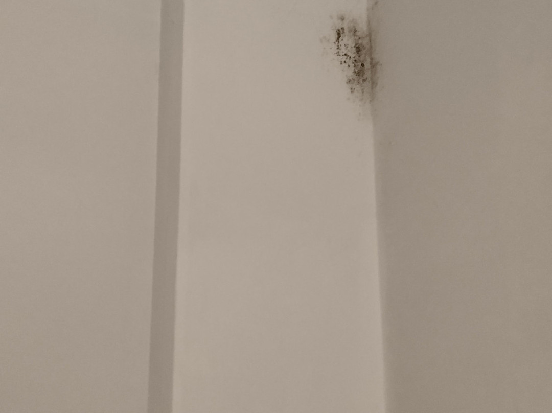 King William IV Heydon主图