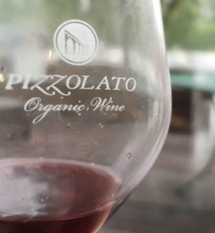 Cantina Pizzolato Società Benefit - Organic Wine Experience景点图片