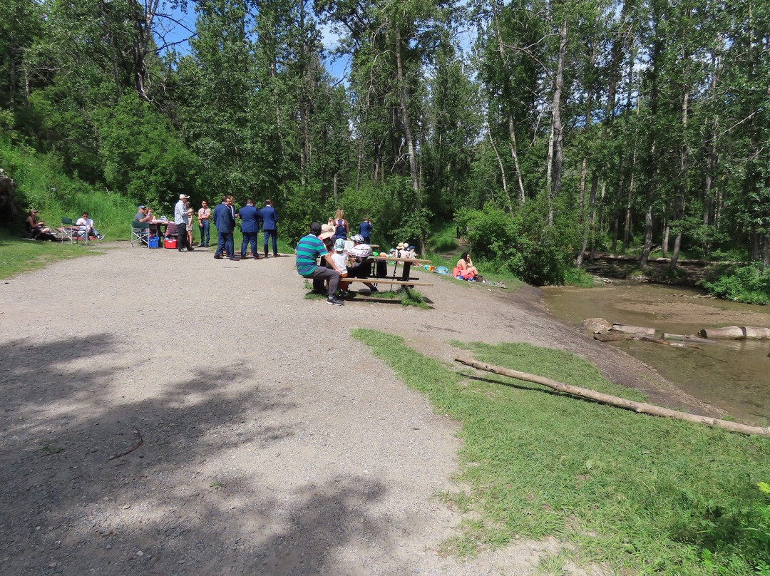 Big Hill Springs Provincial Park-科克伦必去景点