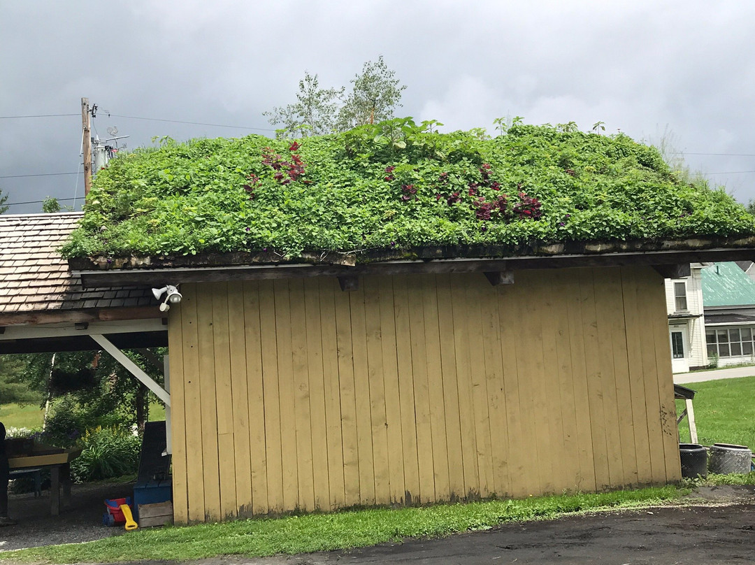 Pete's Greens Craftsbury Farmstand景点图片