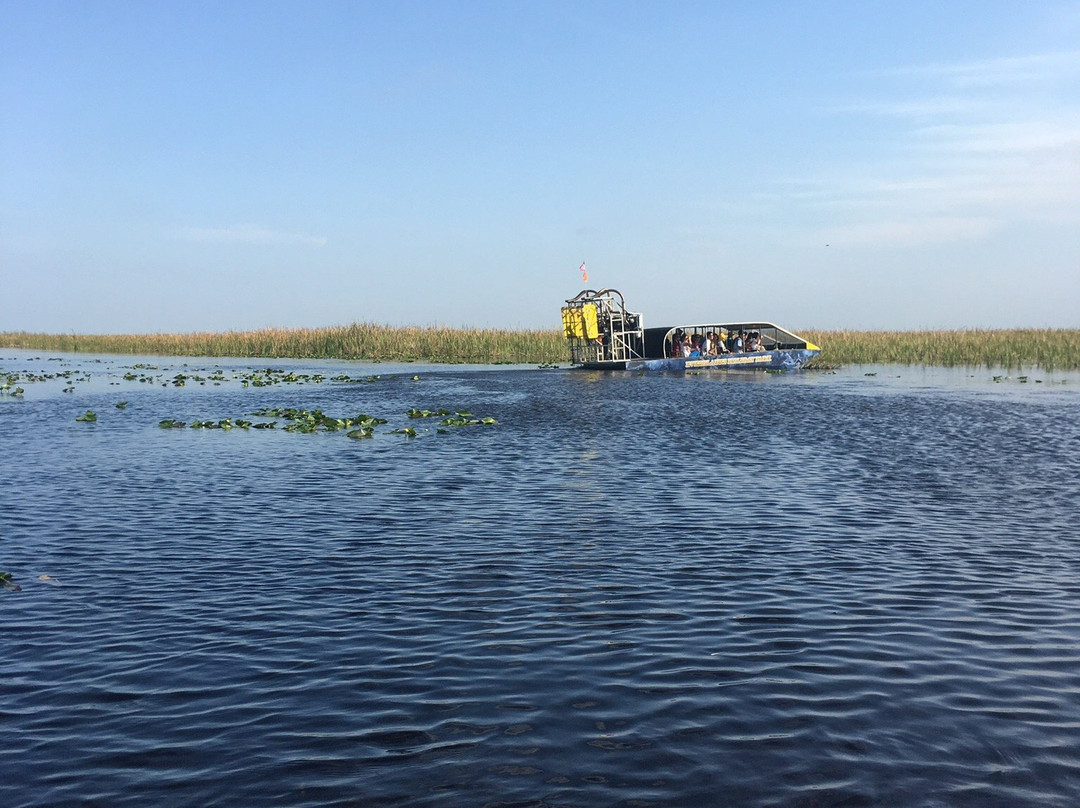 Alligator Tours-哈伦代尔海滩必去景点