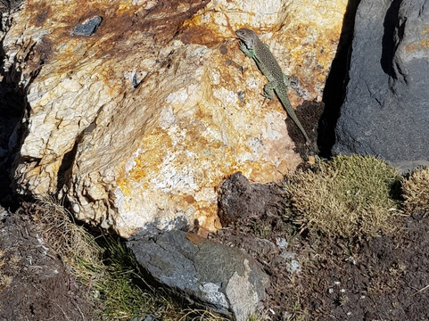 Wanderlust Turismo 591-拉巴斯必去景点