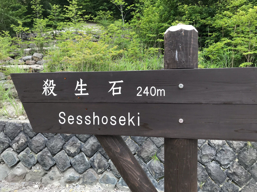 Sesshoseki Rocks景点图片