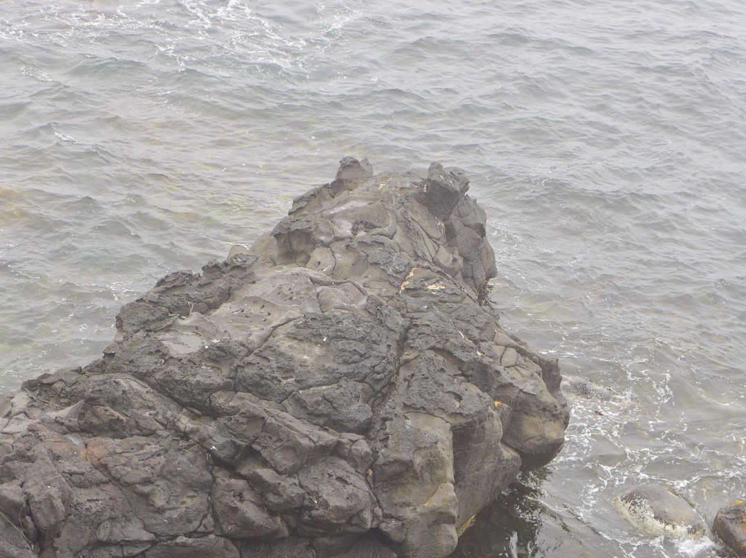 Neguma no Iwa-利尻町必去景点