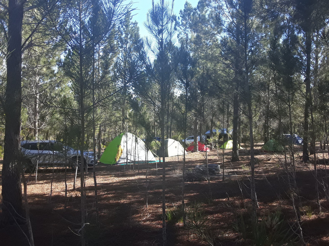 Otium Oasis Glamping & Camping