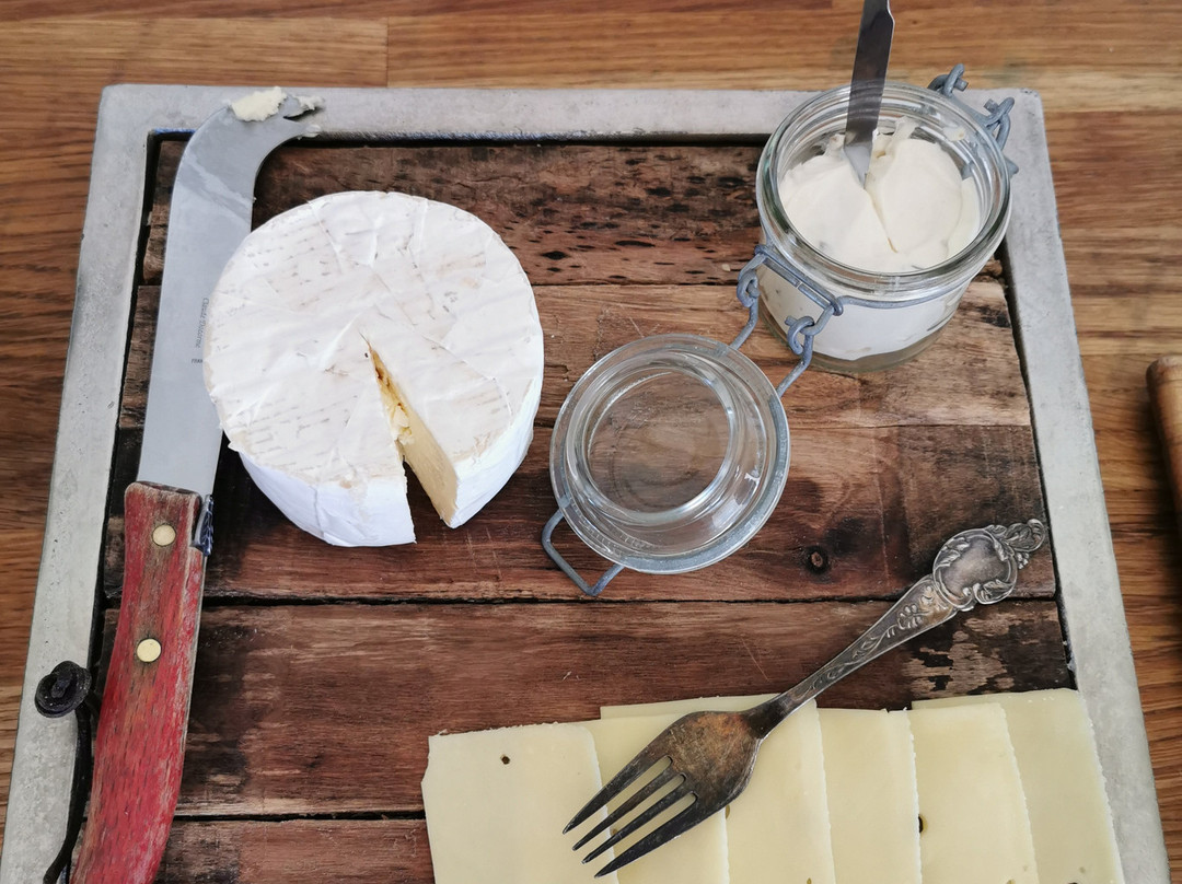 Glacier View Guesthouse主图