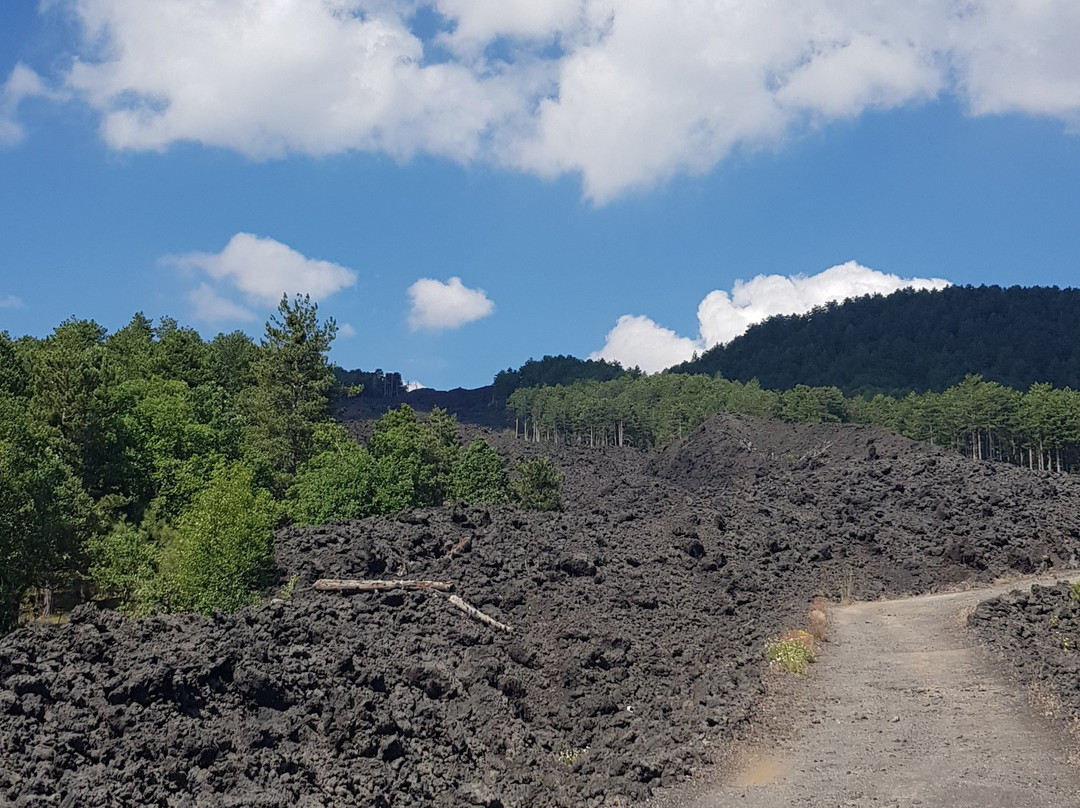 Etna Bike Tours景点图片