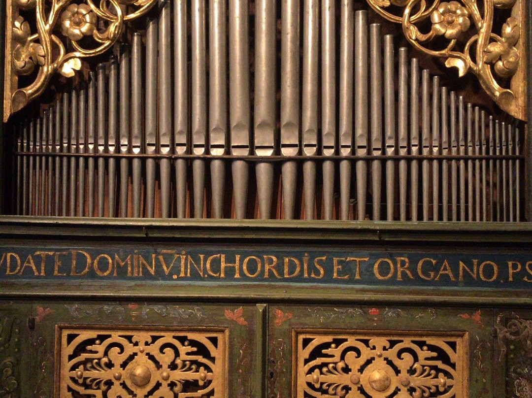 Musikinstrumentenmuseum der Universität Leipzig-莱比锡必去景点