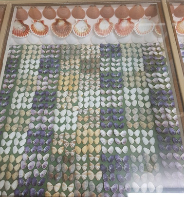 Ayr Nature Display-Ayr必去景点