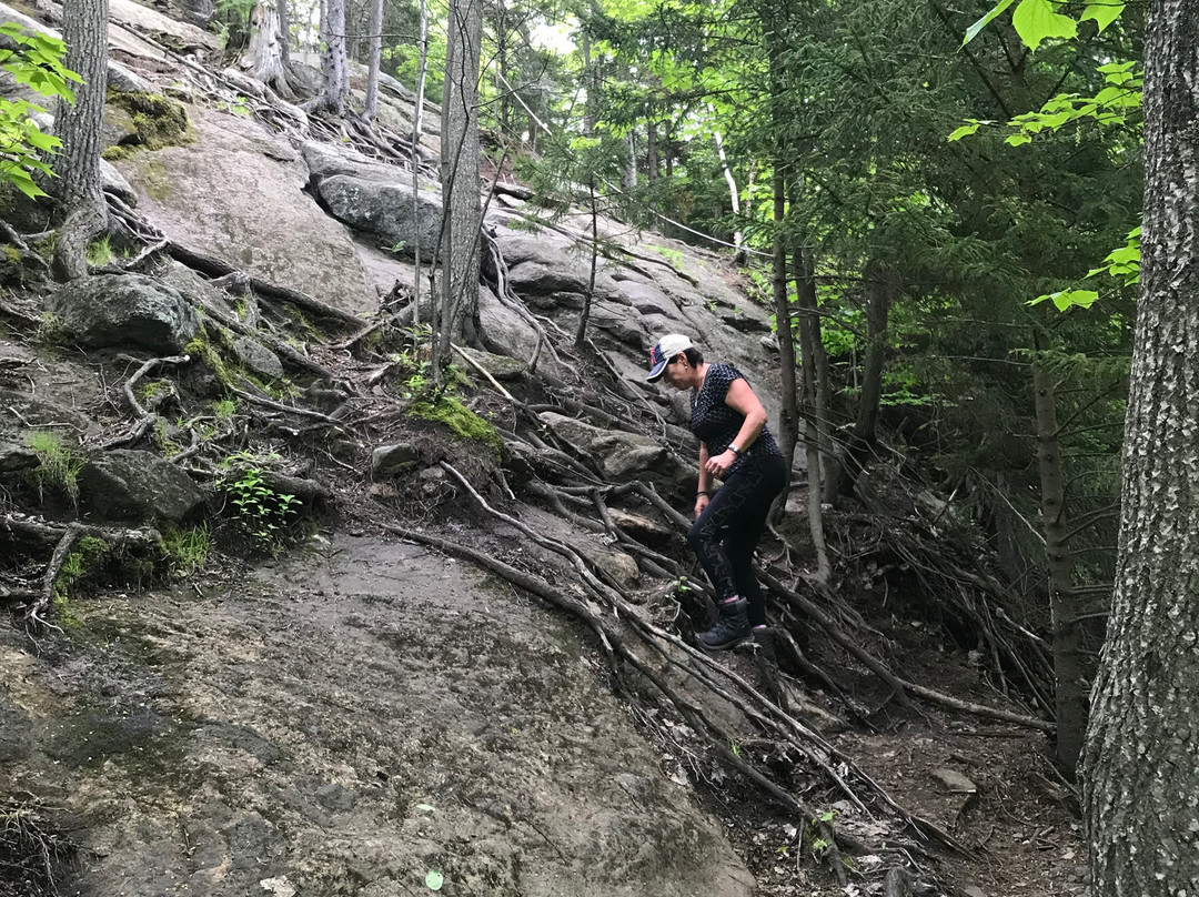 Cobble Hill-普莱西德湖必去景点