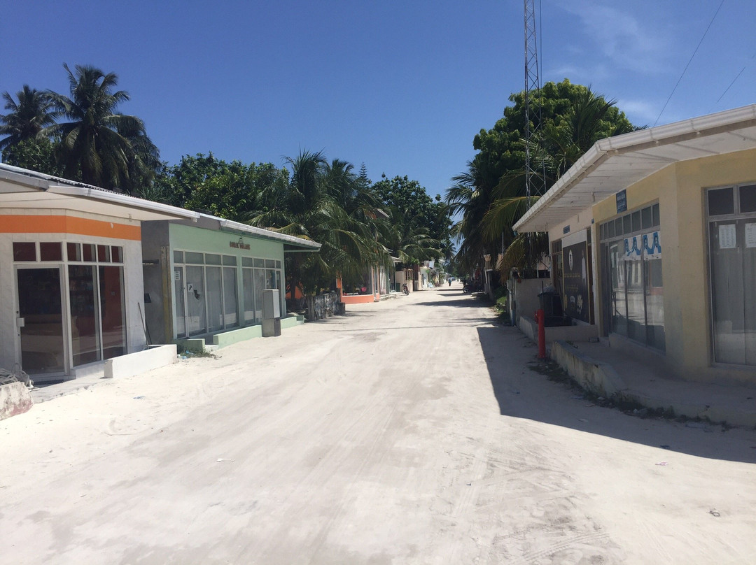 Whale Shark Inn主图