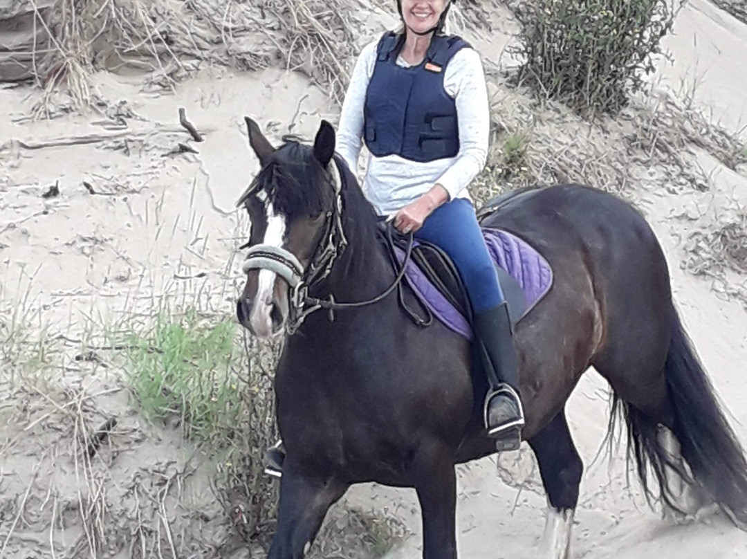 Pembrey Park Riding Centre景点图片