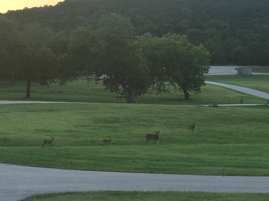 Belton Lake-Belton必去景点