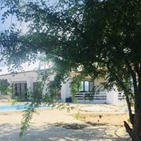 Moholoholo Lodge主图