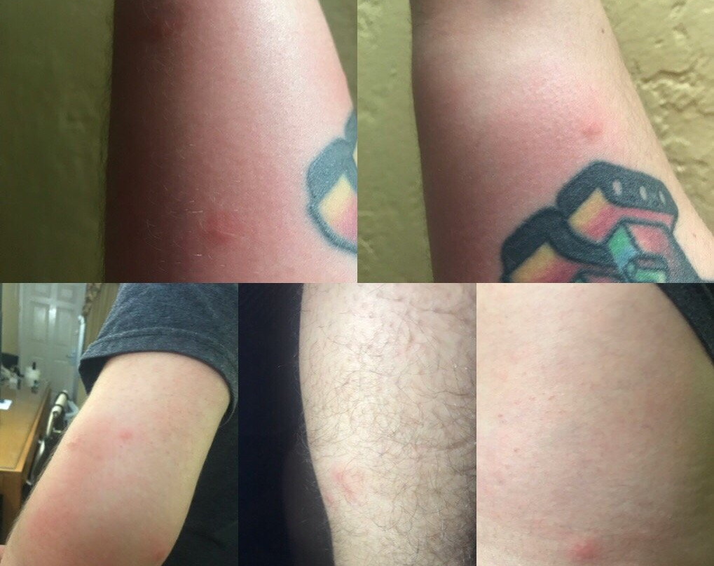 Super 8 by Wyndham Caryville TN主图