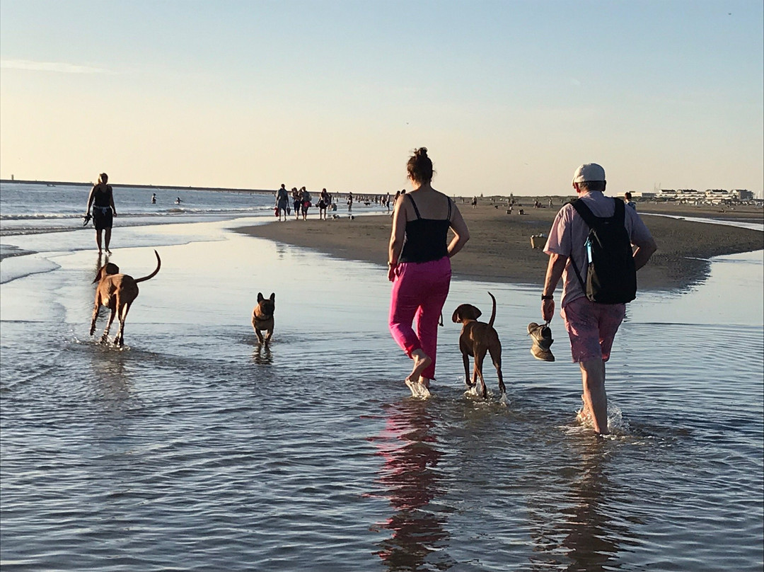 Het Strand van IJmuiden aan Zee-Ijmuiden必去景点