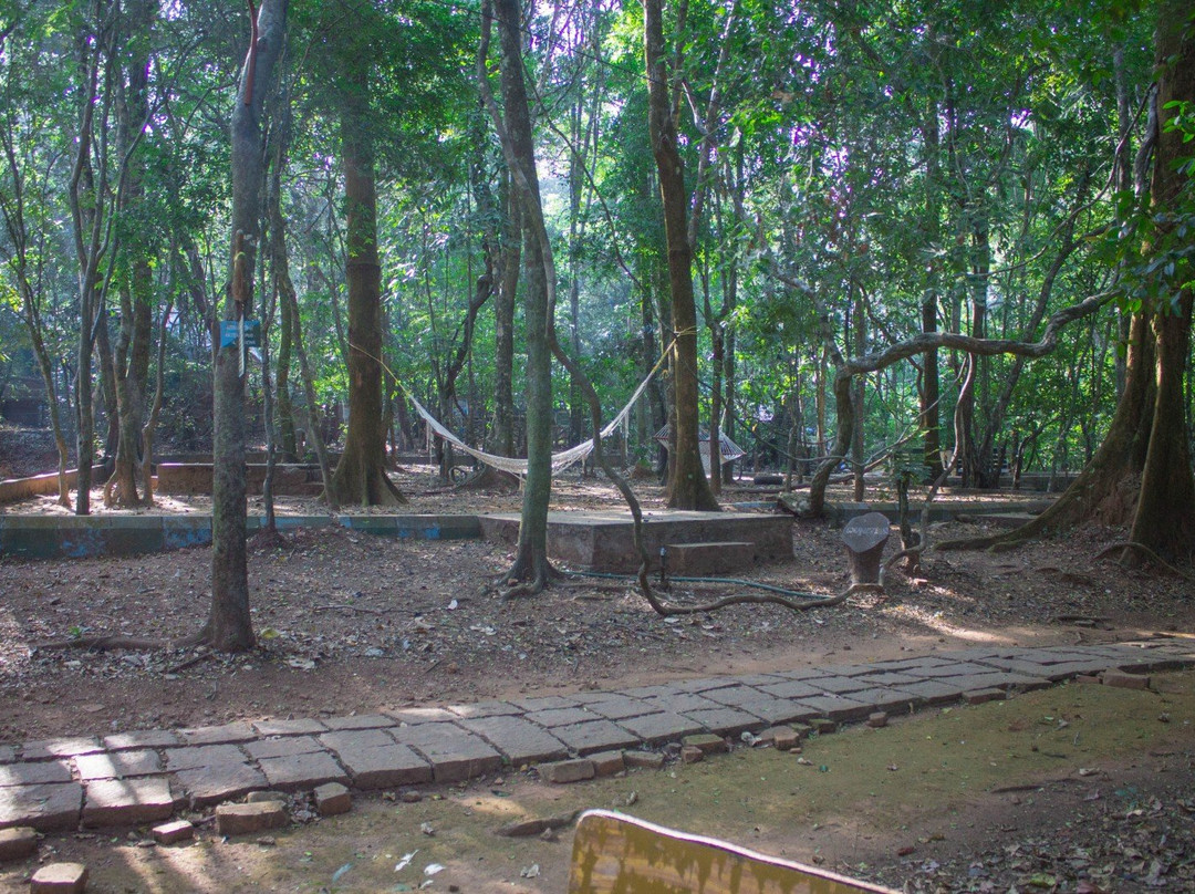 Seethanadi Nature Camp主图