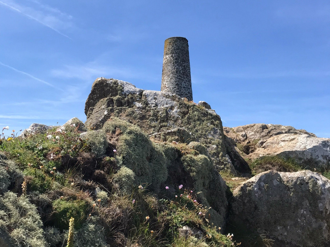 Padstow and Stepper Point Walk景点图片