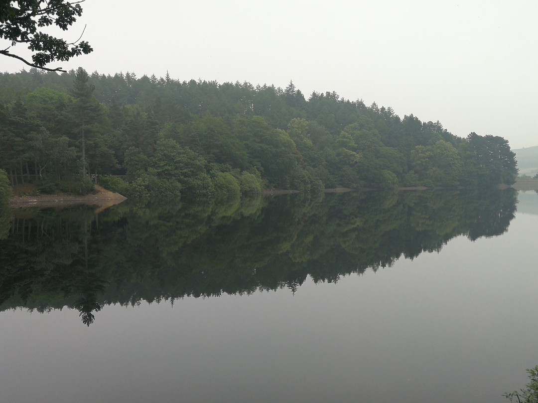 Damflask Reservoir景点图片