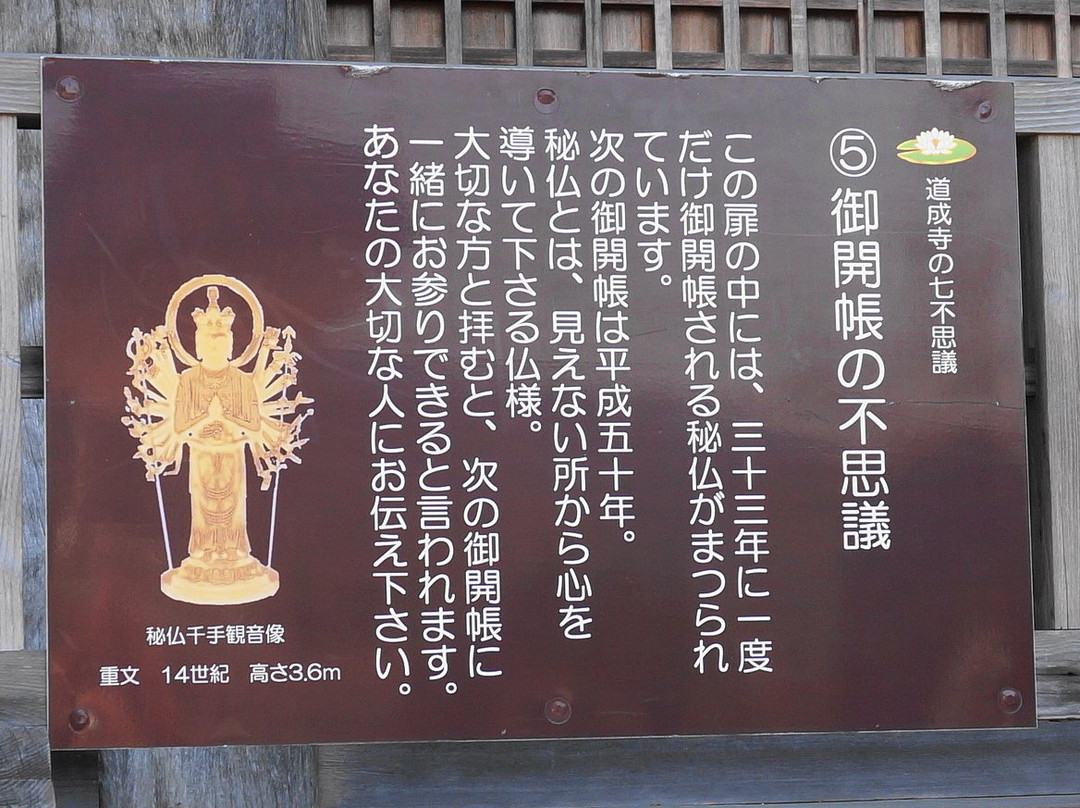Dojo-ji Temple Hondo景点图片