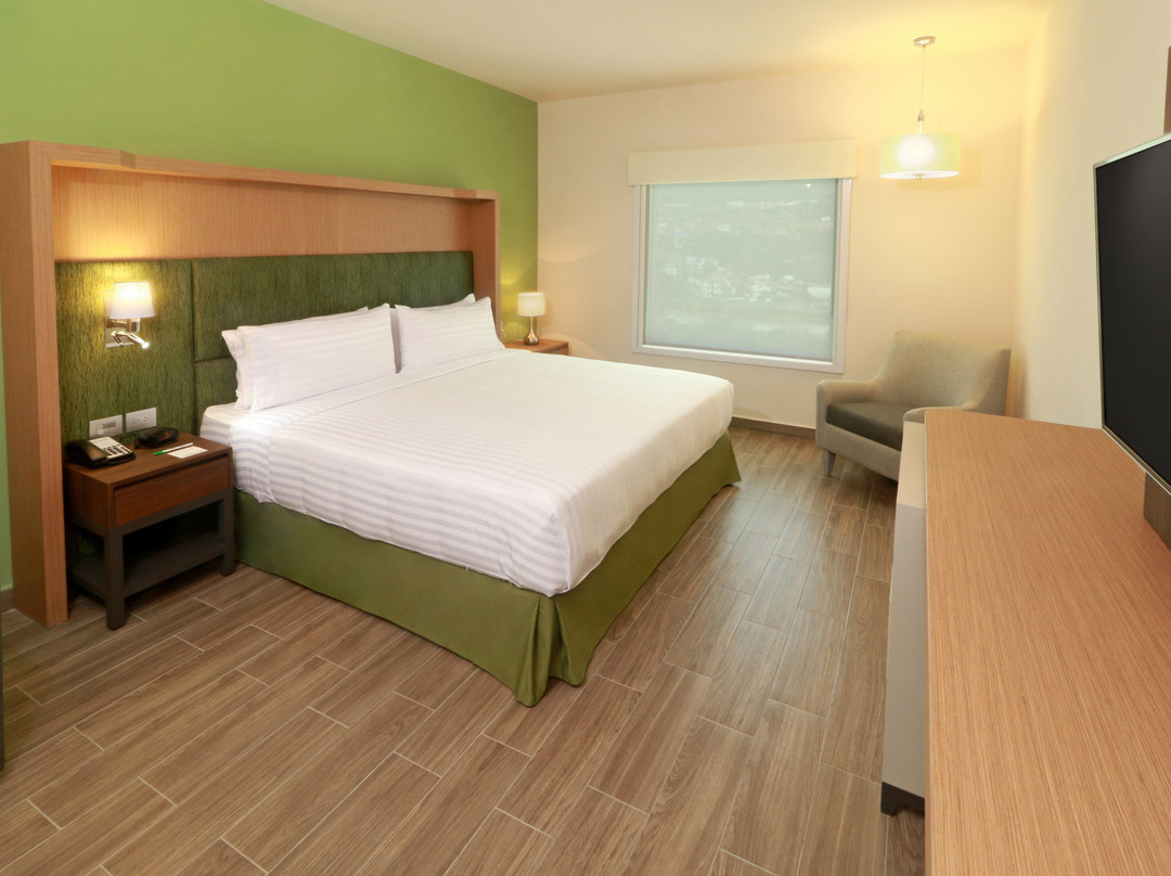 Holiday Inn Chilpancingo By IHG主图