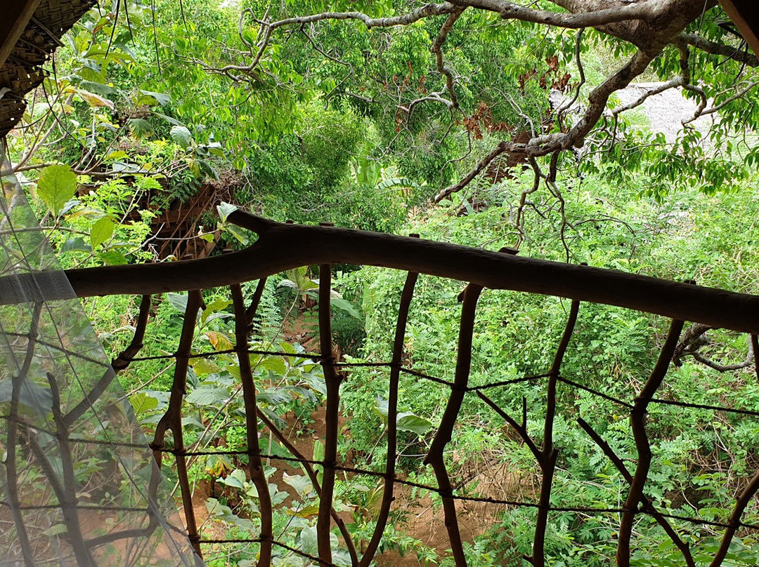 Ambasewana Resort主图