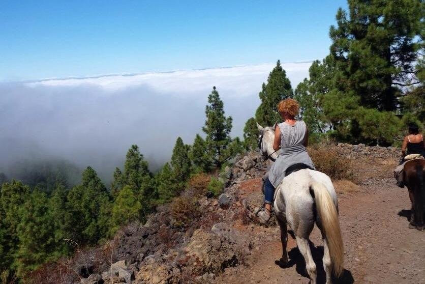 Finca Estrella - Ausritte und Wanderreiten im Norden von Teneriffa景点图片