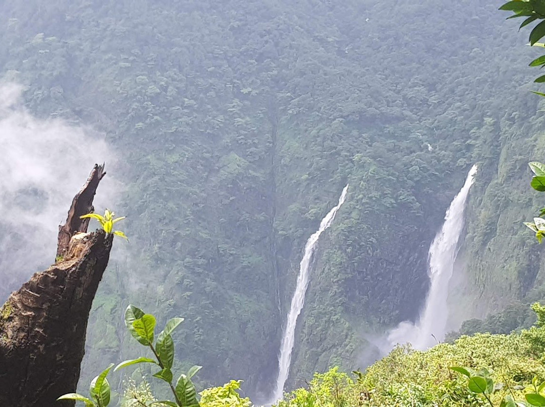 Wildernest Nature Resort主图