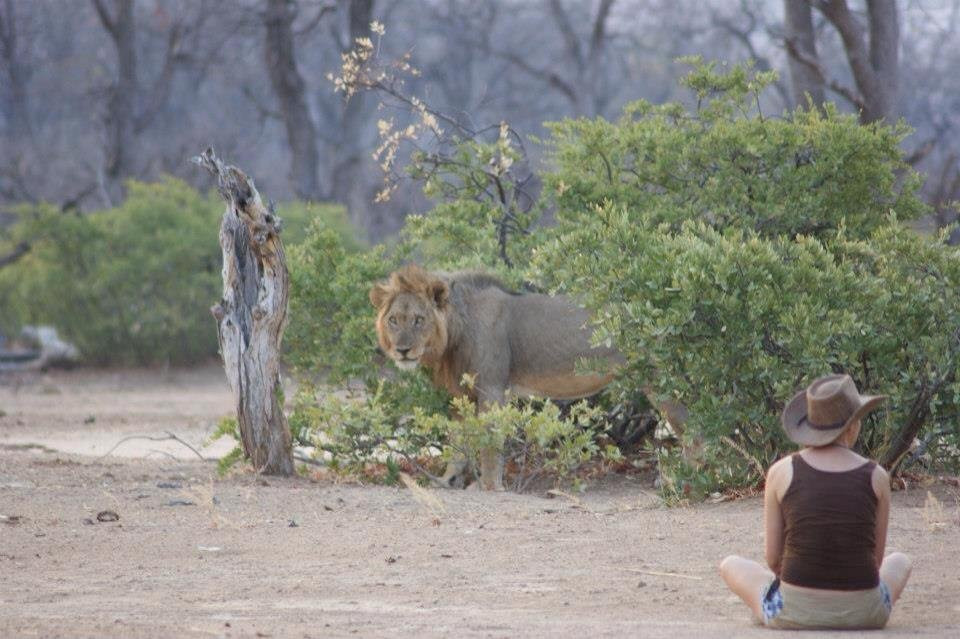 Self Drive Zim-哈拉雷必去景点