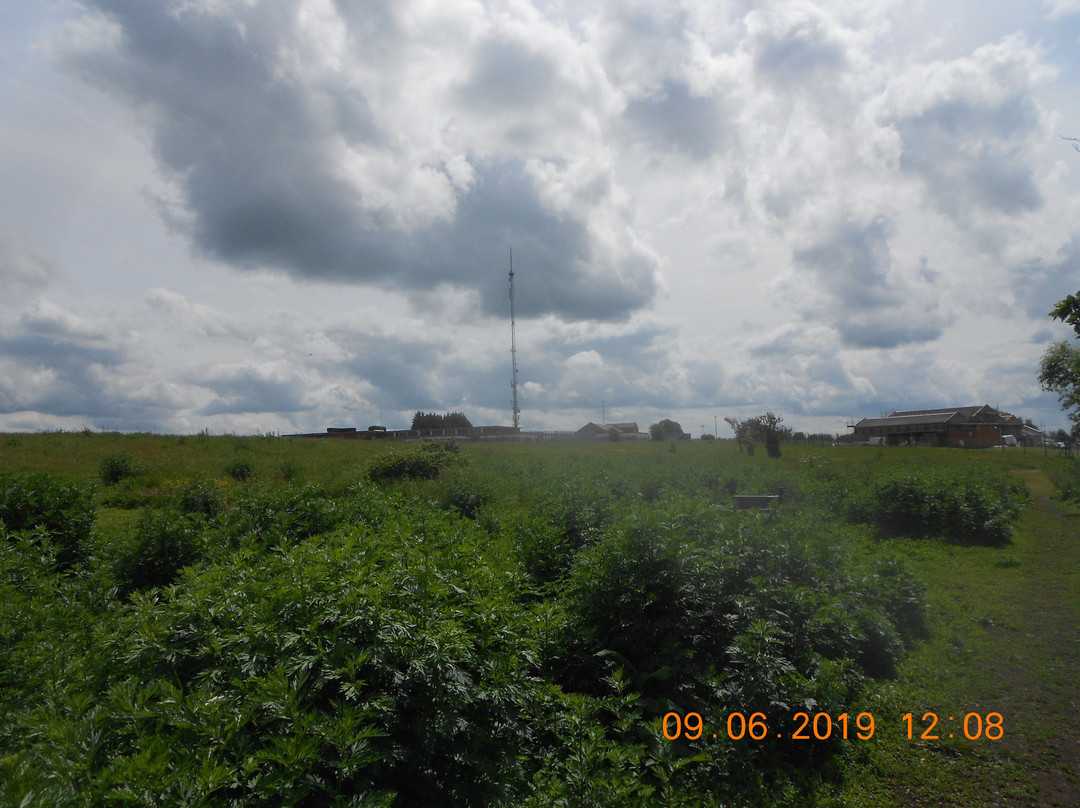 Borough Hill-达文特里必去景点