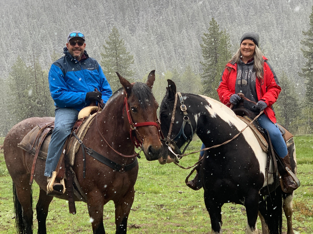 Swift Creek Outfitters & Teton Horseback Adventures景点图片