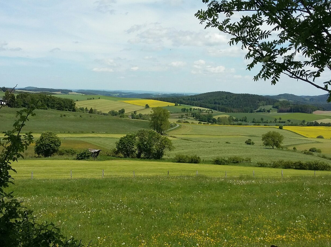 黑肯霍夫酒店主图