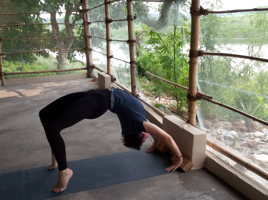 Evergreen Yoga Studio Chitwan-苏拉哈必去景点