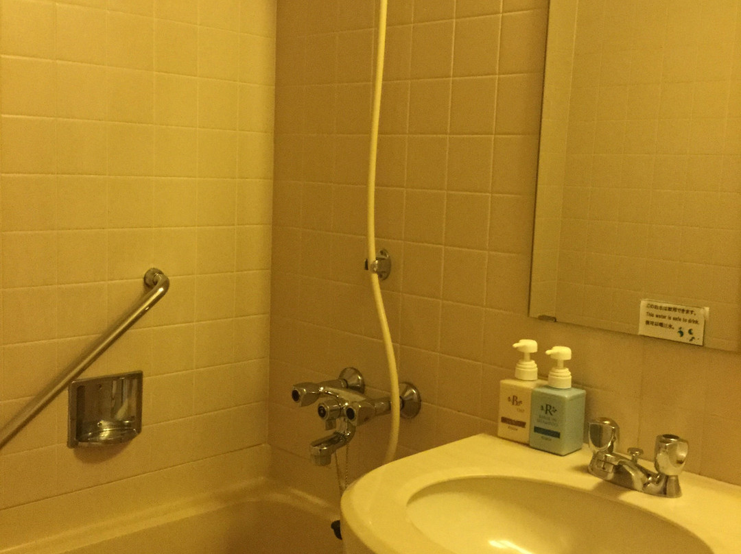 札幌提特拉斯匹利特酒店主图