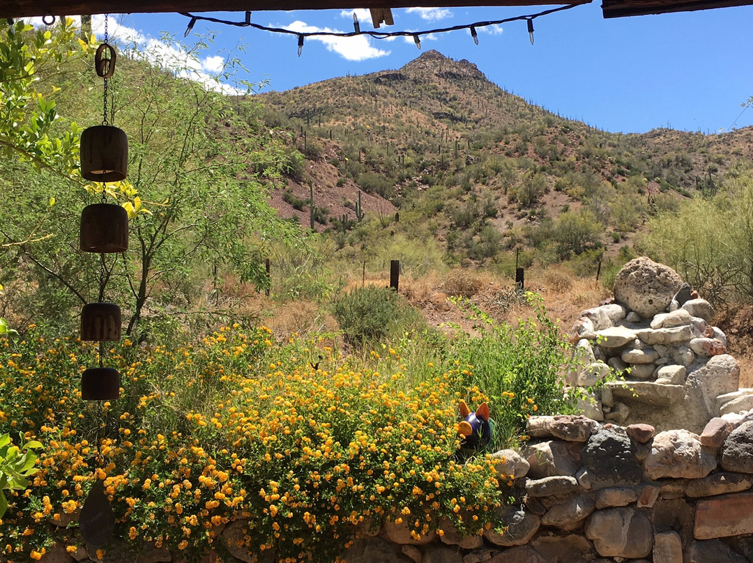 Aravaipa Farms Orchard and Inn主图