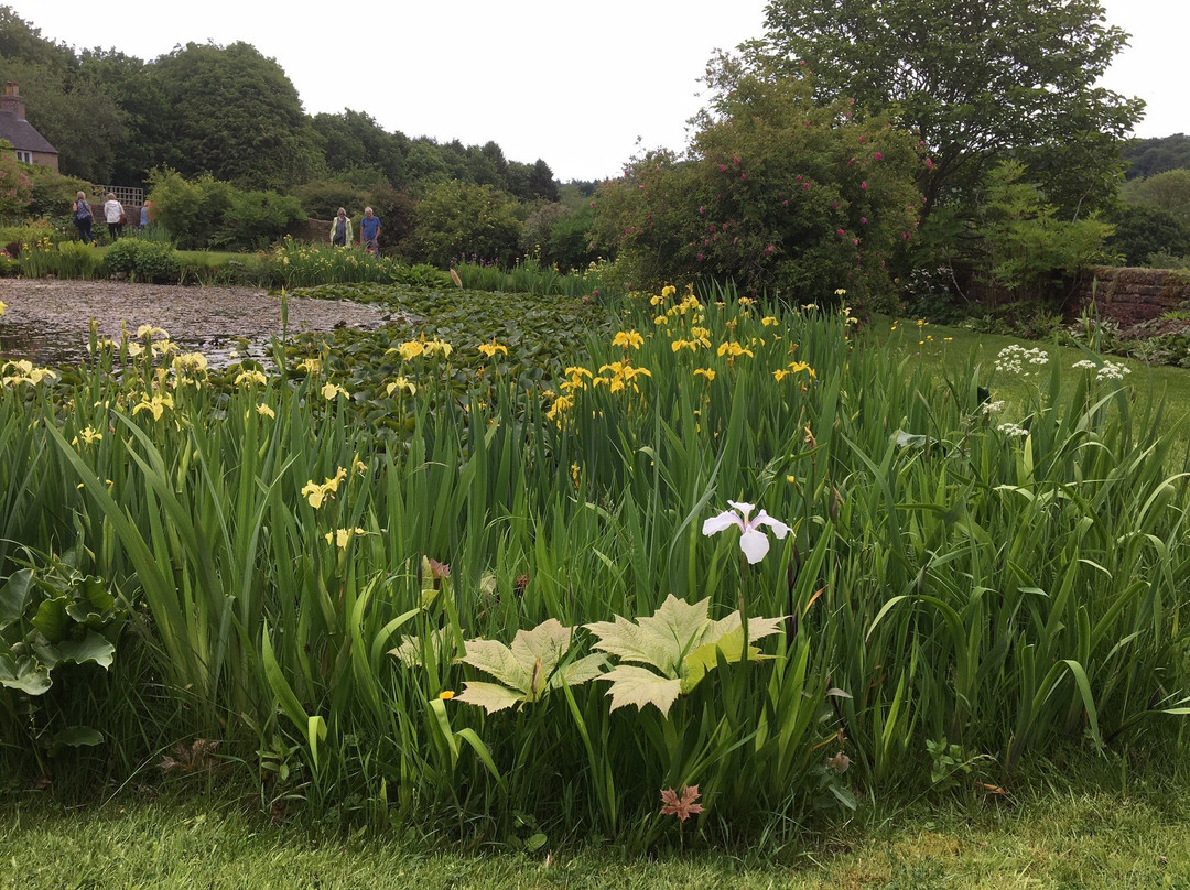 Felley Priory Gardens景点图片