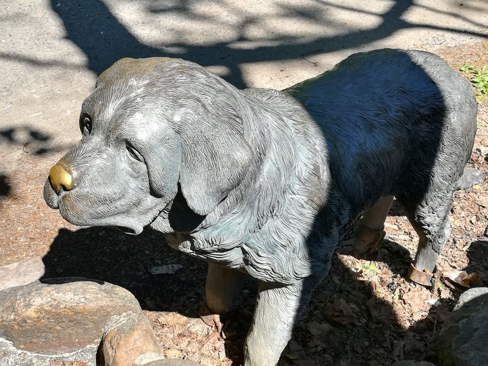 St. Bernard Dog Statue-泽列诺戈尔斯克必去景点