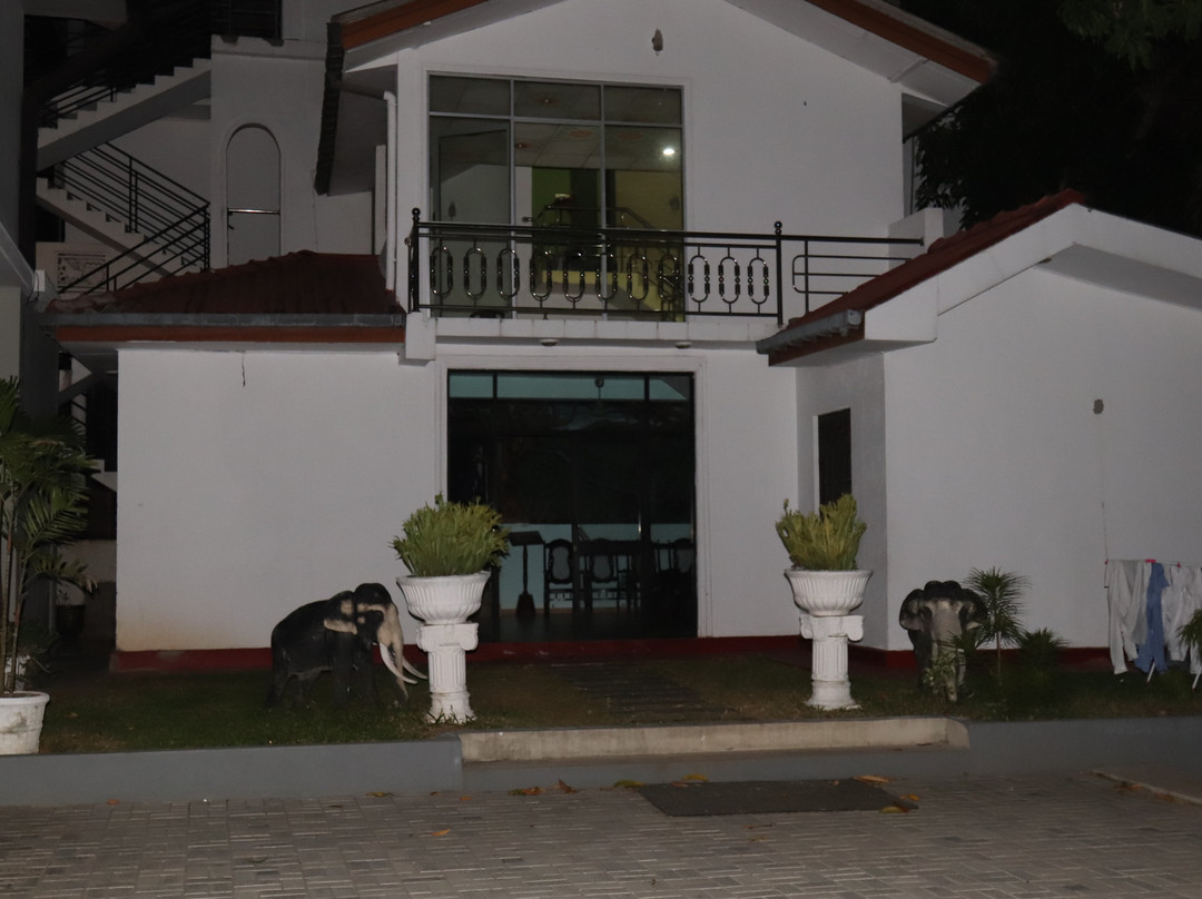 Nethmini Regency主图