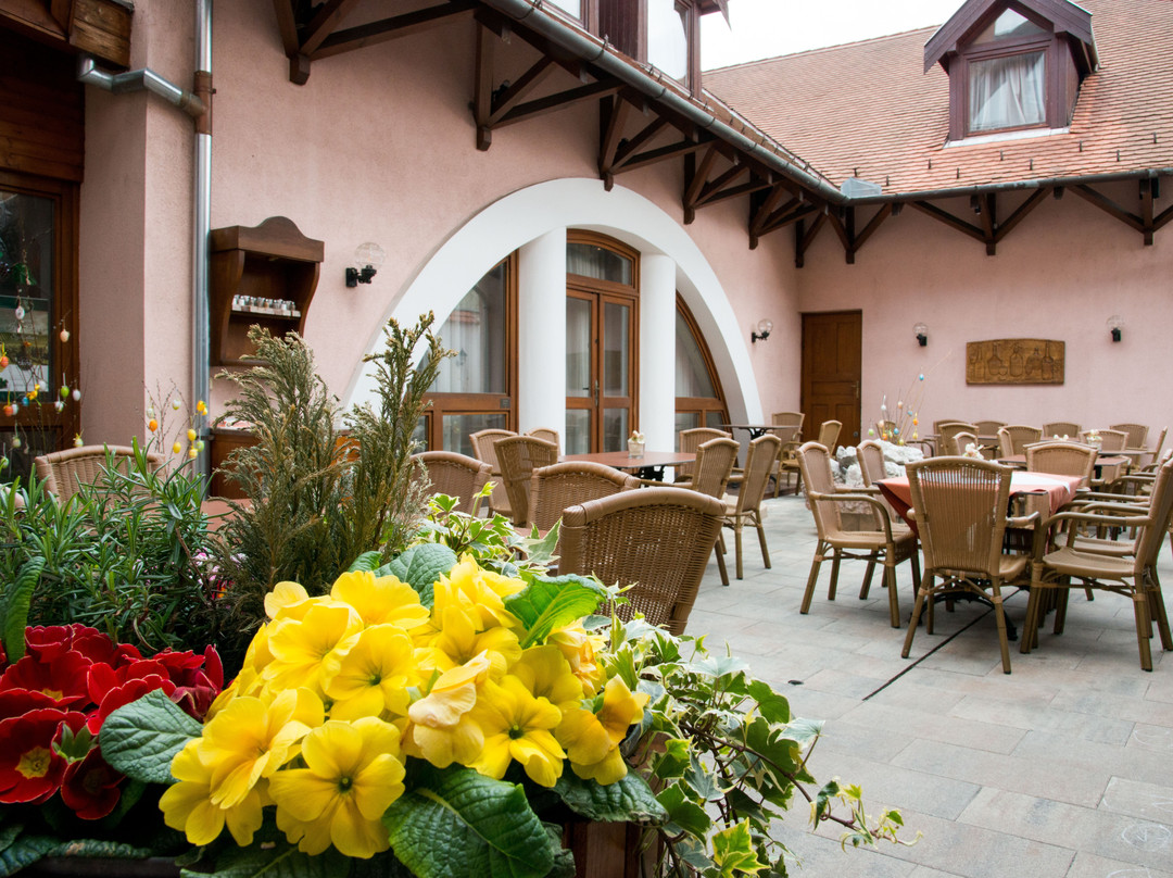 Wagner Vendégudvar Hotel & Restaurant主图