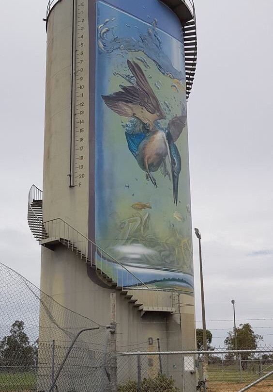 Gulargambone Water Tower Art-Gulargambone必去景点