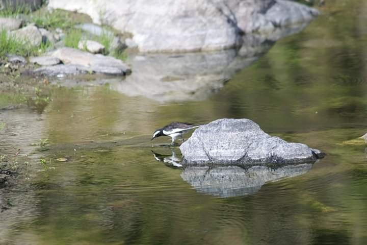 Hanumanti River View Resort主图
