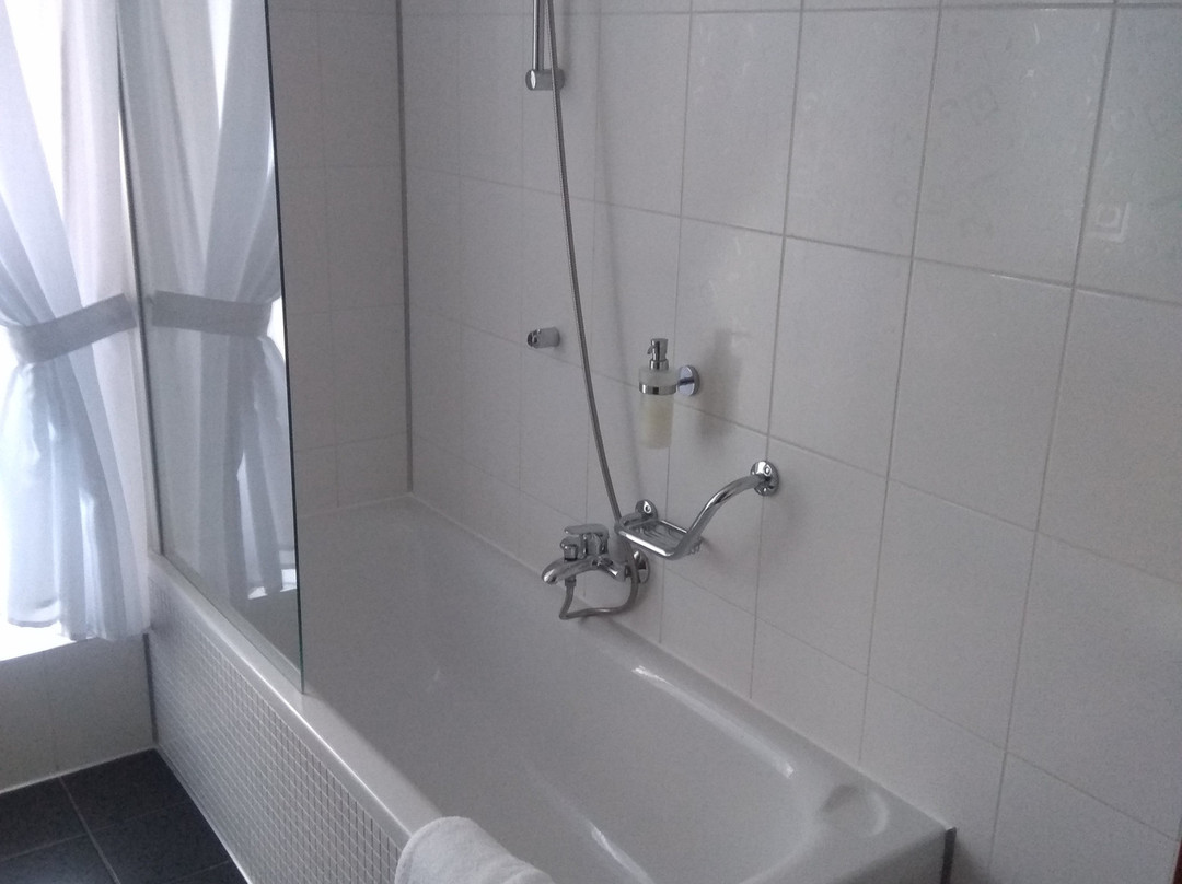 奥斯特鲁夫皮特劳恩酒店主图