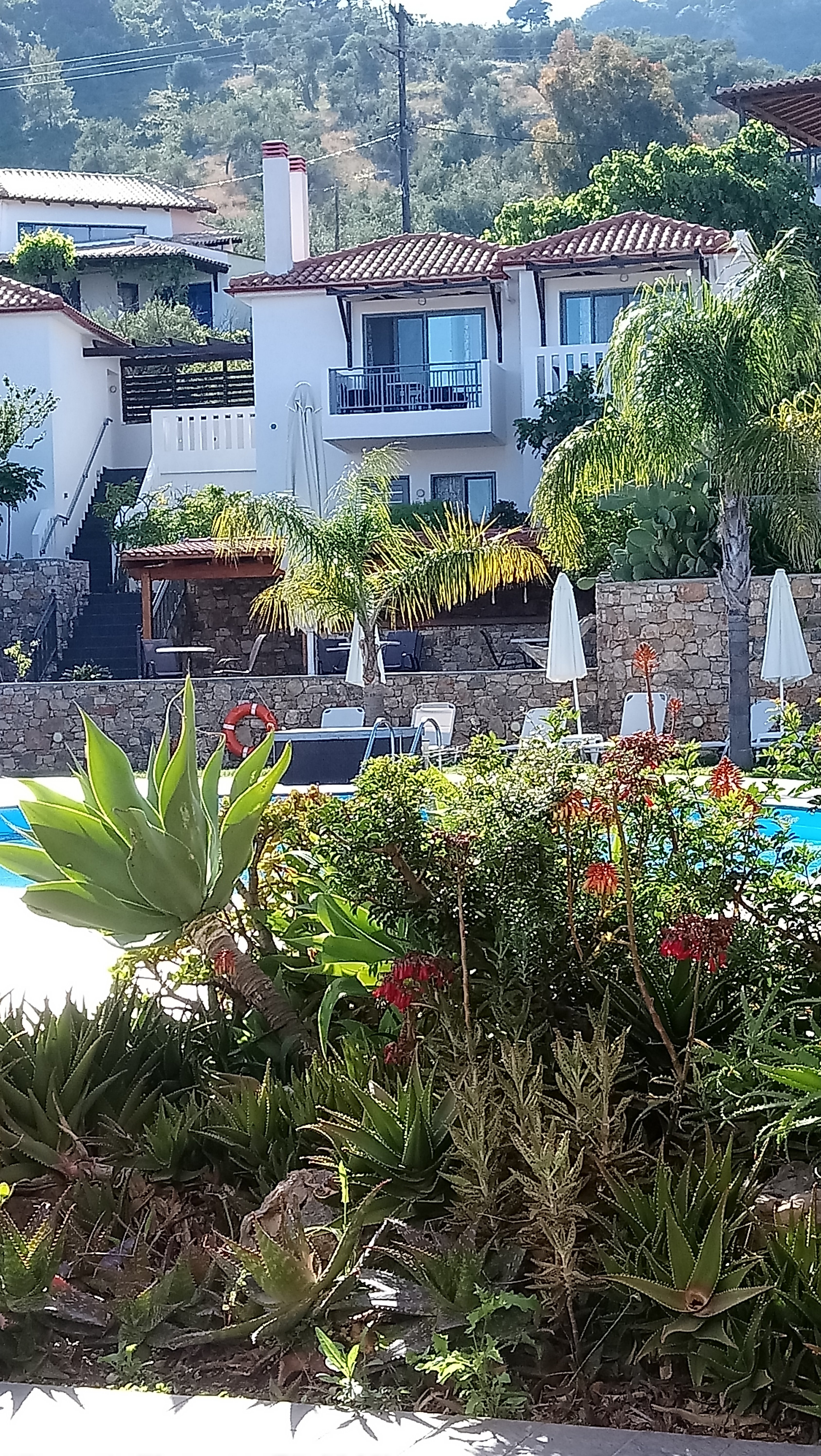 4 Epoches Hotel-餐饮