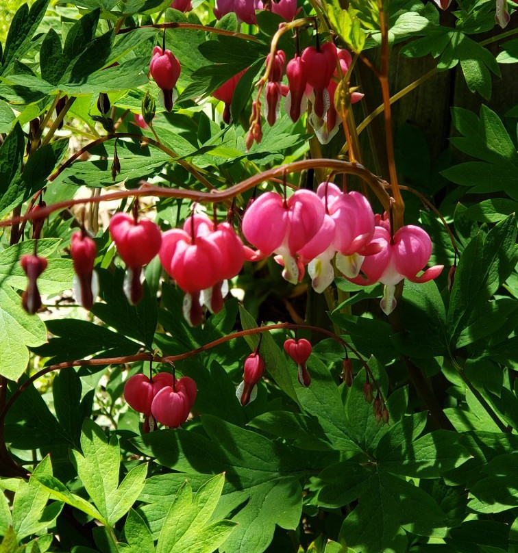 Lorenzo State Historic Site-Cazenovia必去景点